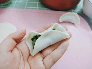 韭菜虾仁猪肉水饺的做法 步骤6