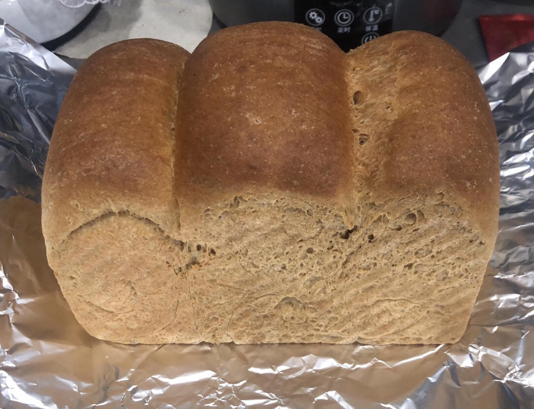 100%全麦鸡蛋吐司 直接法 王后细麸细粒 纯全麦依然软到下腰
