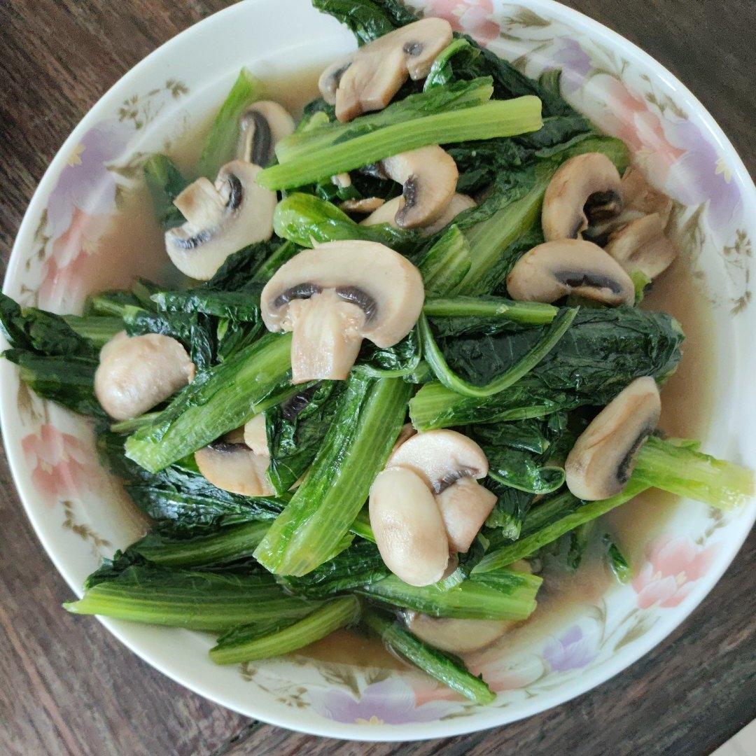 耗油蘑菇油麦菜