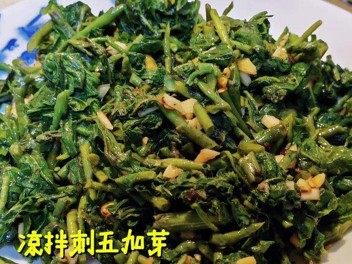 捞汁刺五加～专属于春天的舌尖美味