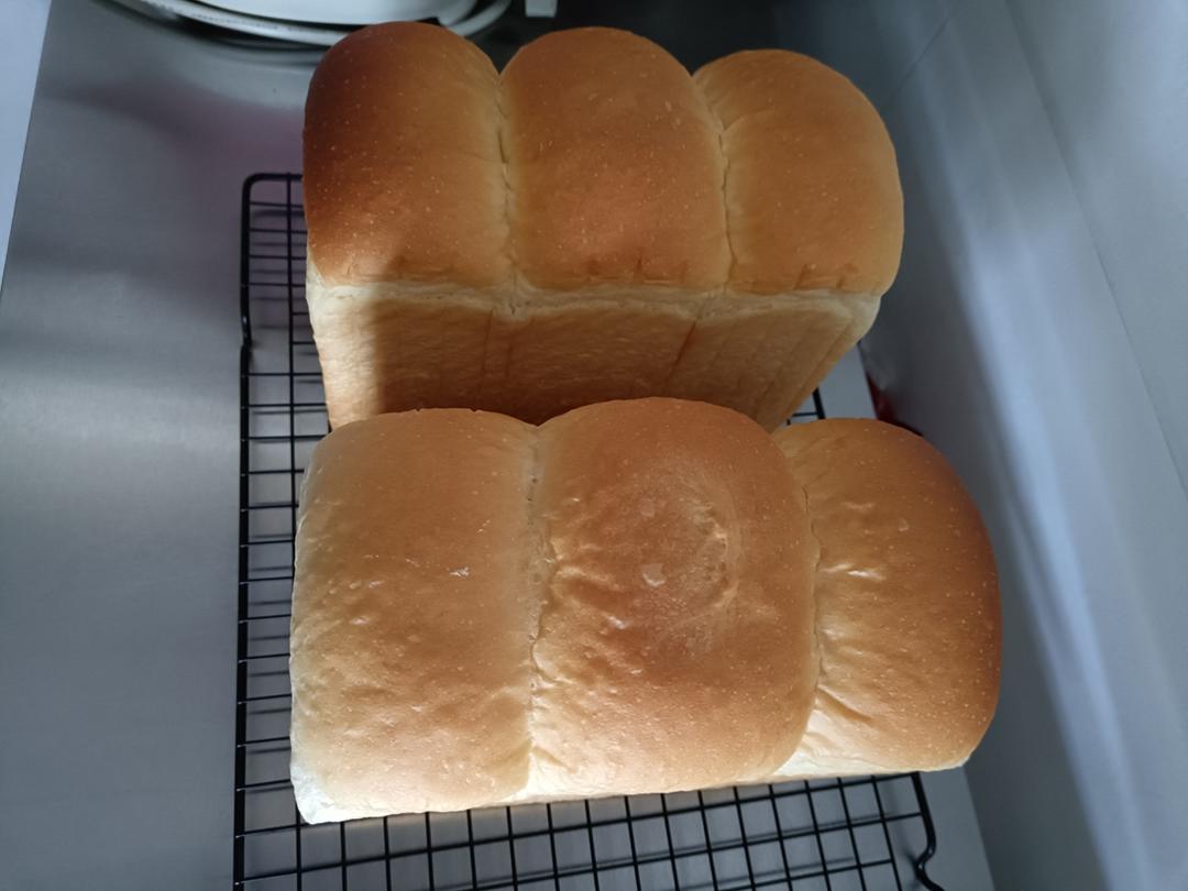 云朵吐司2.0版，双种法更绝！