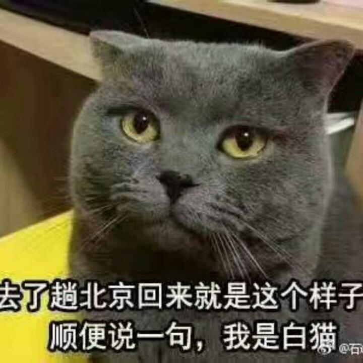 白猫觉罗的厨房