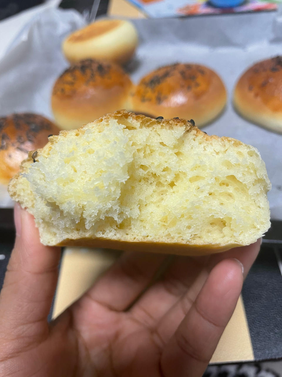 一次性发酵汉堡包🍔（波兰酵头）