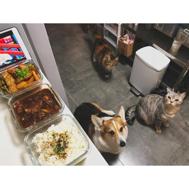 福工の便当
