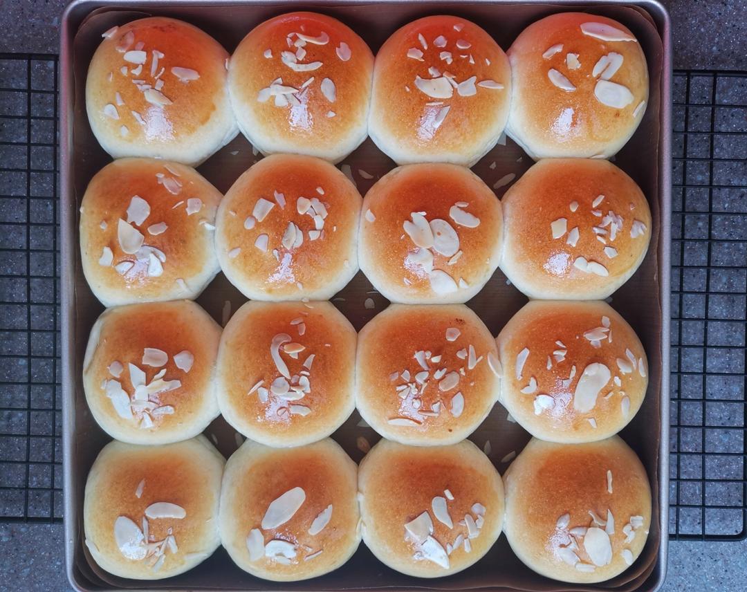 豆沙小餐包（一次发酵）