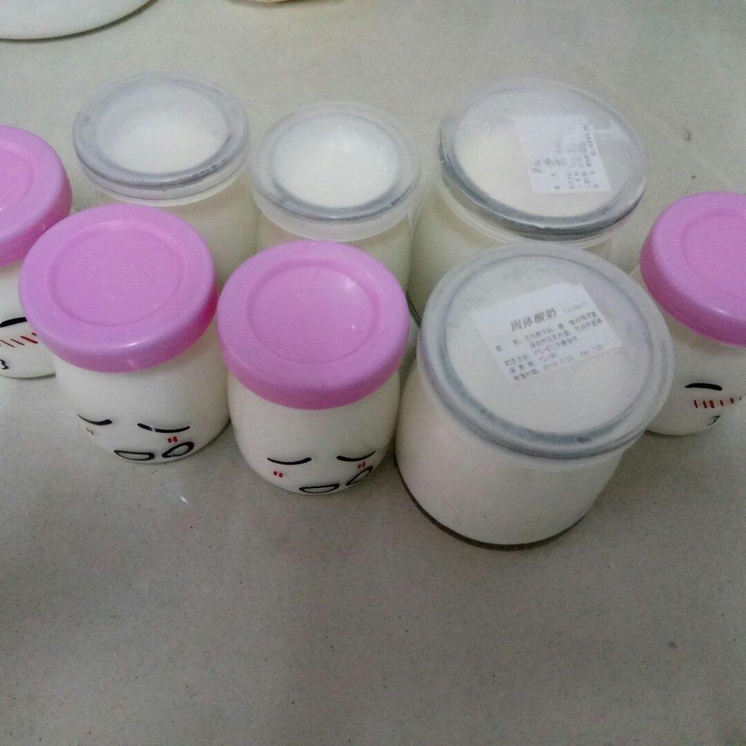 小熊酸奶机自制酸奶