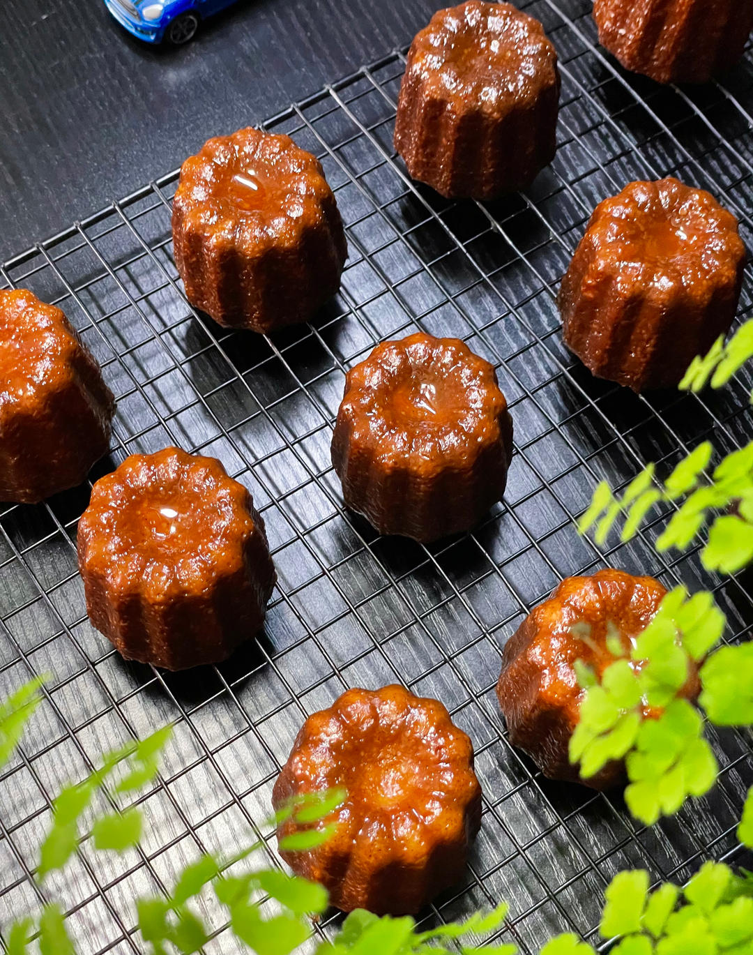 可露丽Canelés（非铜模）
