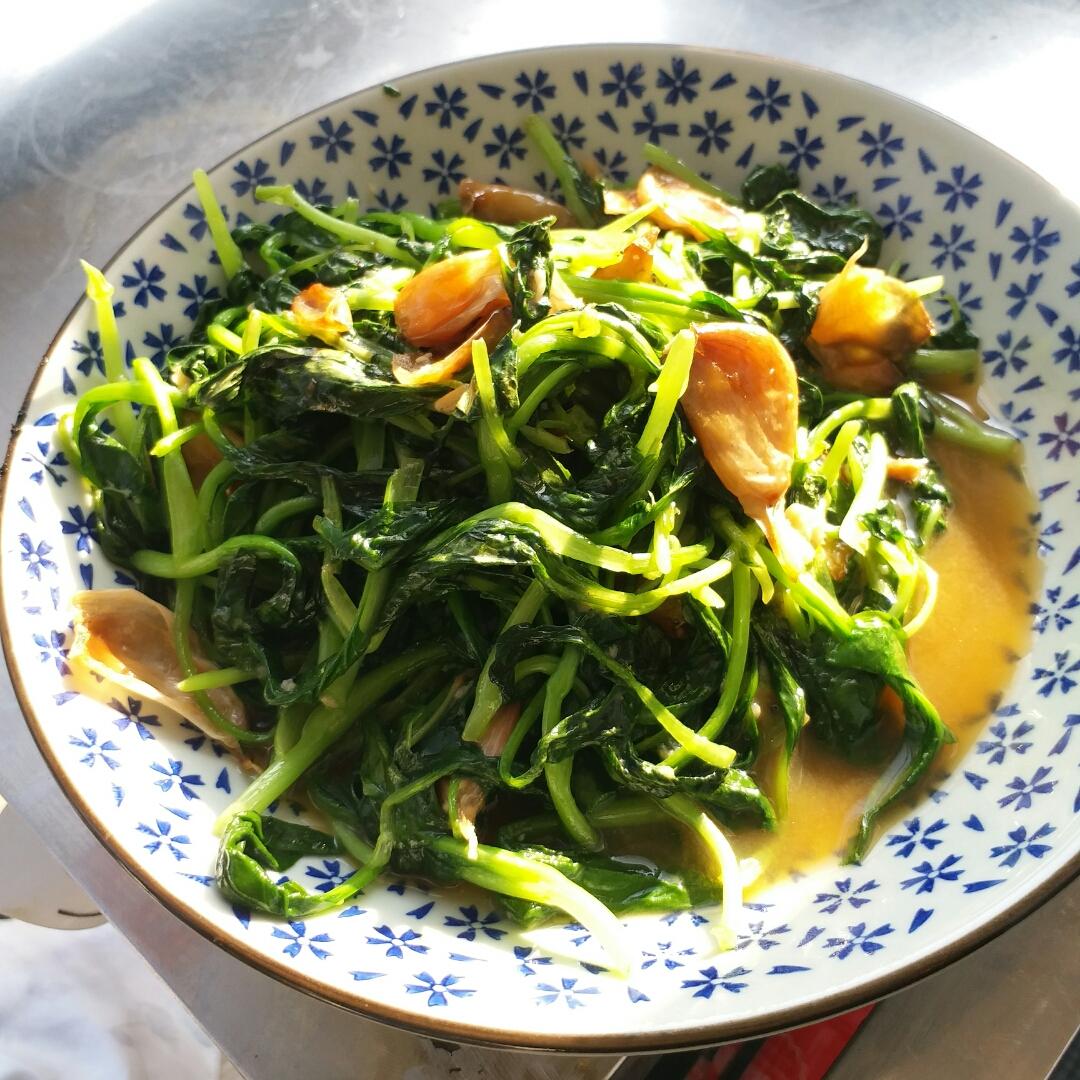 爵婳做的炝炒油菜苗-五分钟快手菜