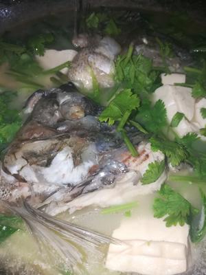 鱼头豆腐青菜汤的做法 步骤3