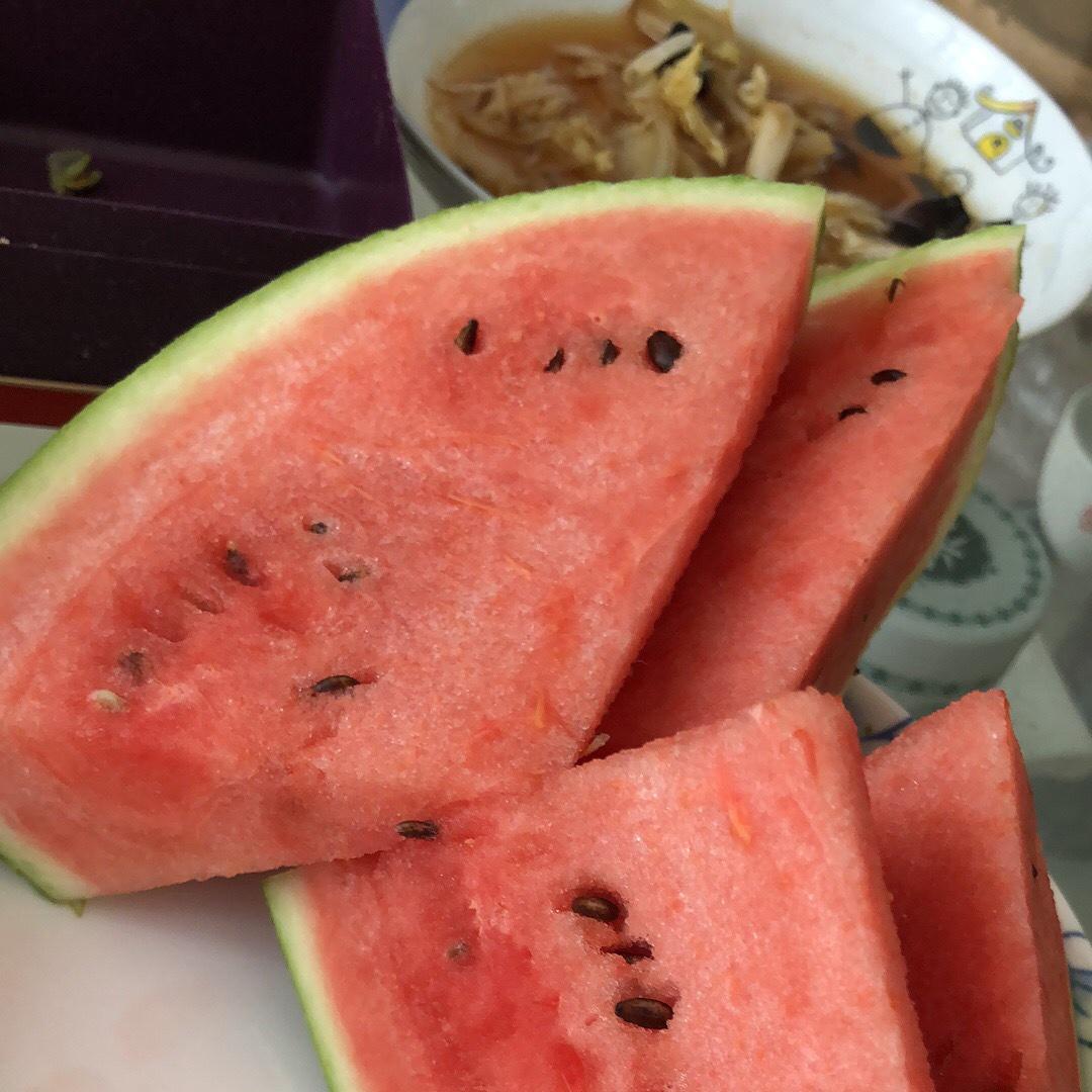 面团玩家