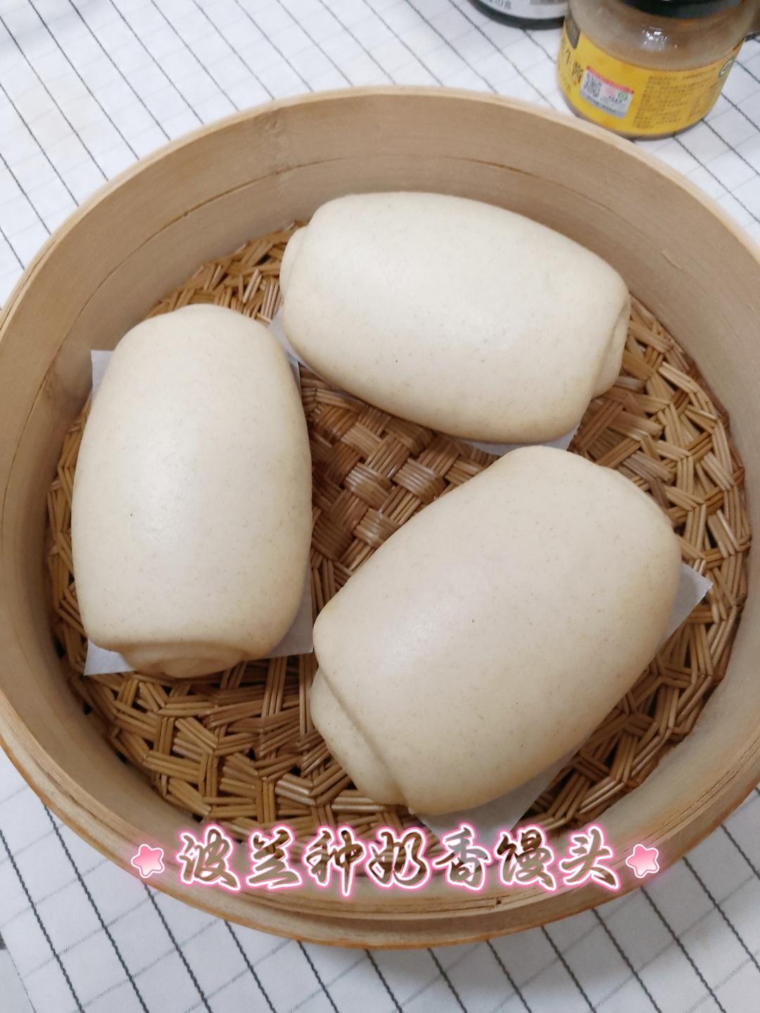 波兰种馒头