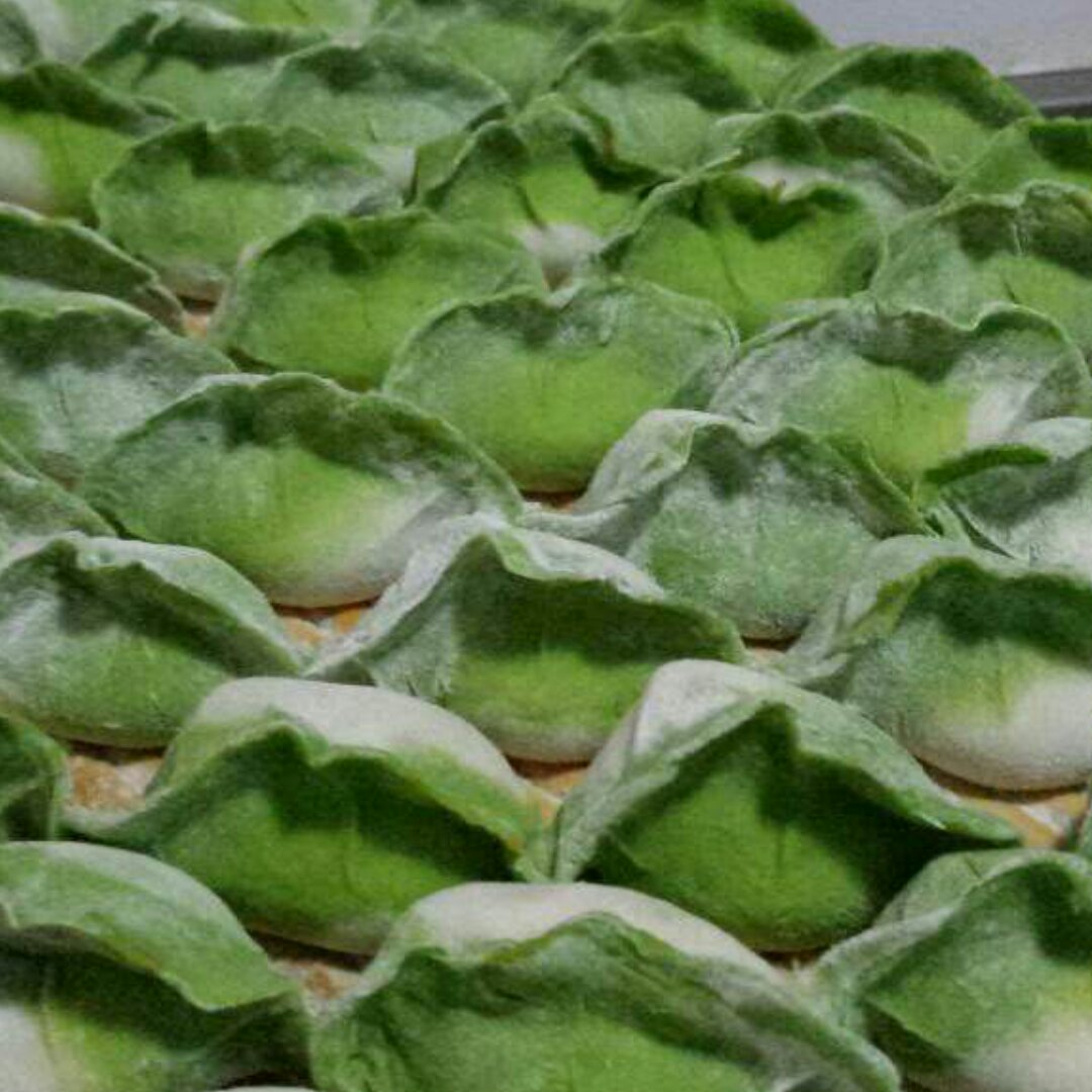 白菜饺子