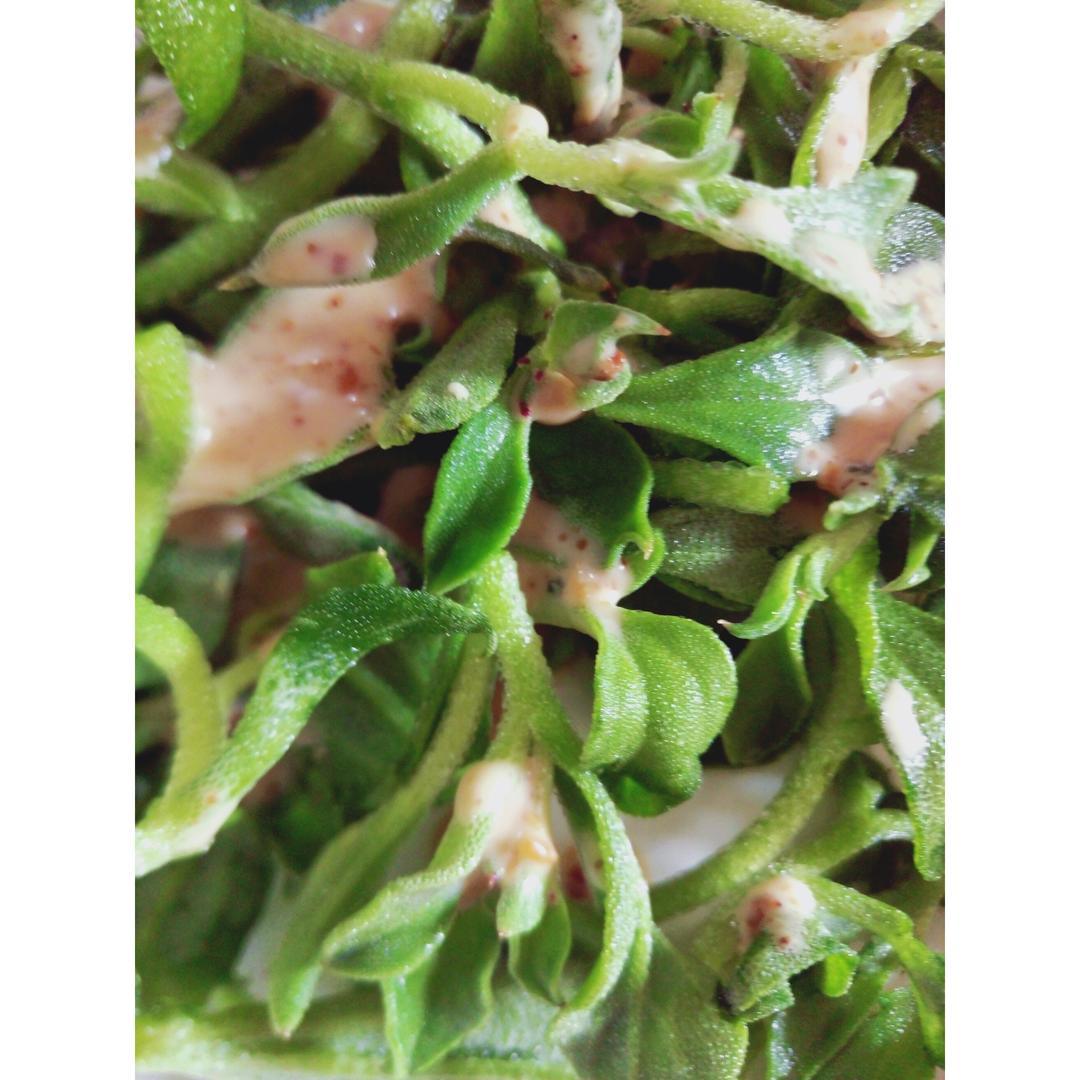 春意盎然拌冰草