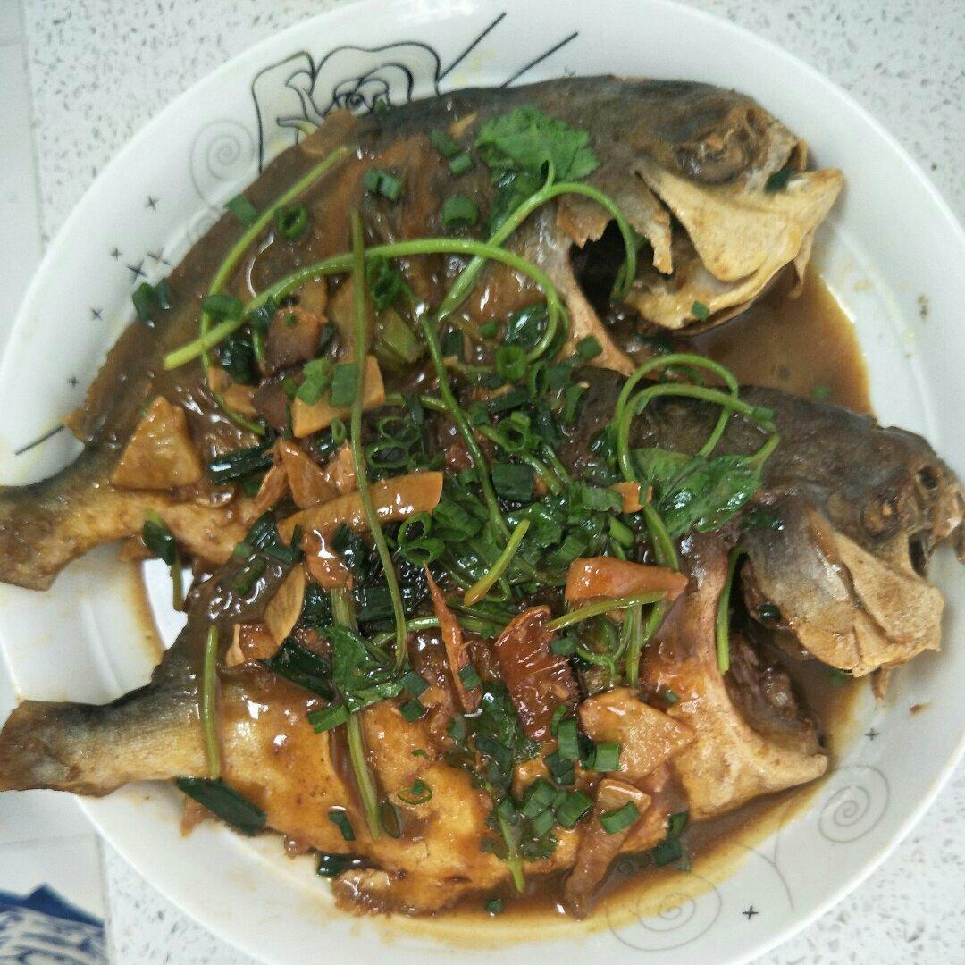 家常红烧鲳鱼