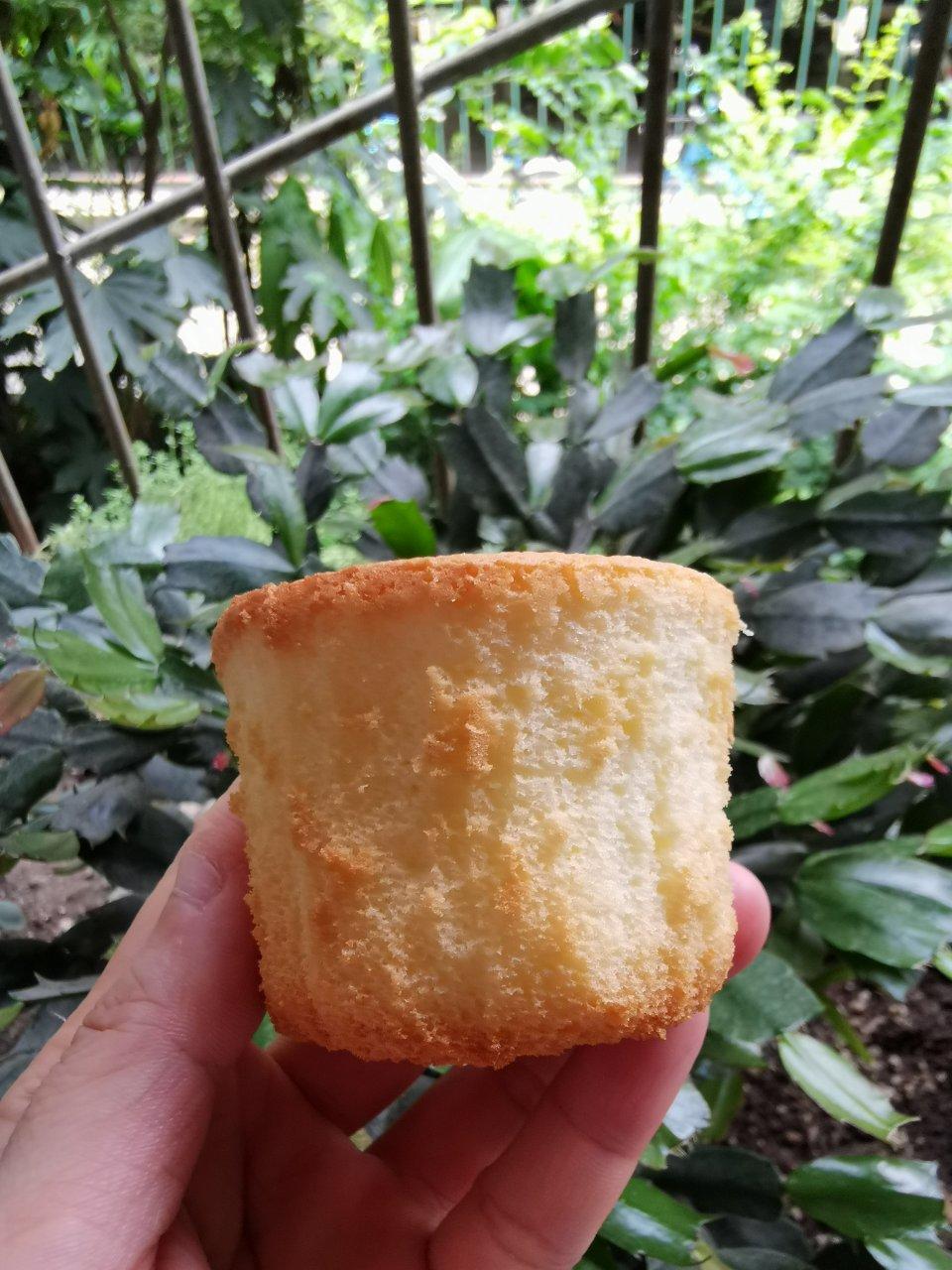 酸奶纸杯小蛋糕
