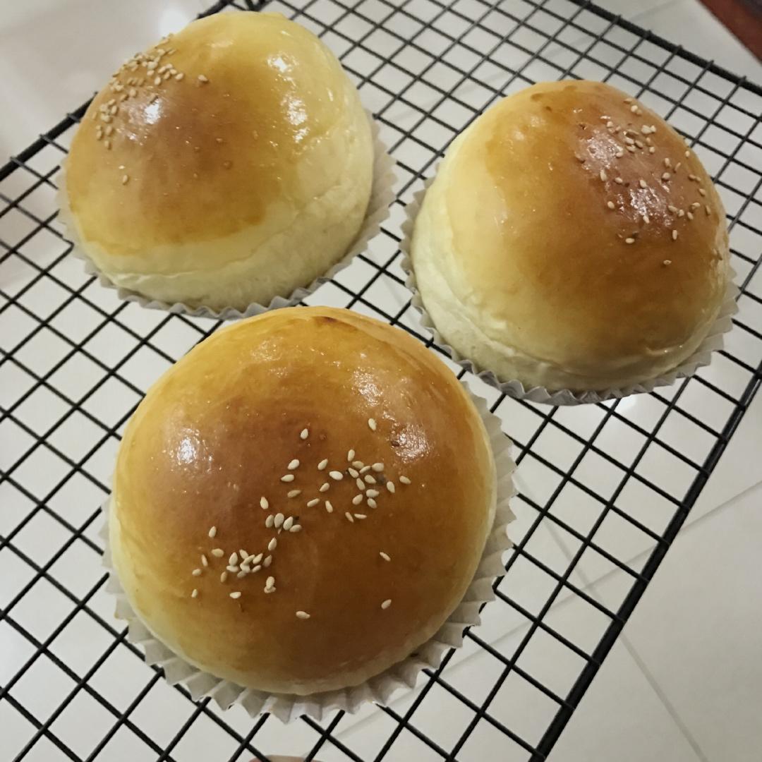 汉堡胚（中种法）