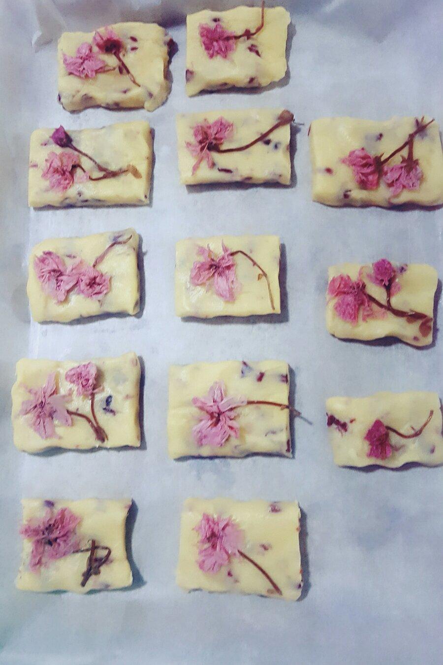 樱花蔓越莓曲奇