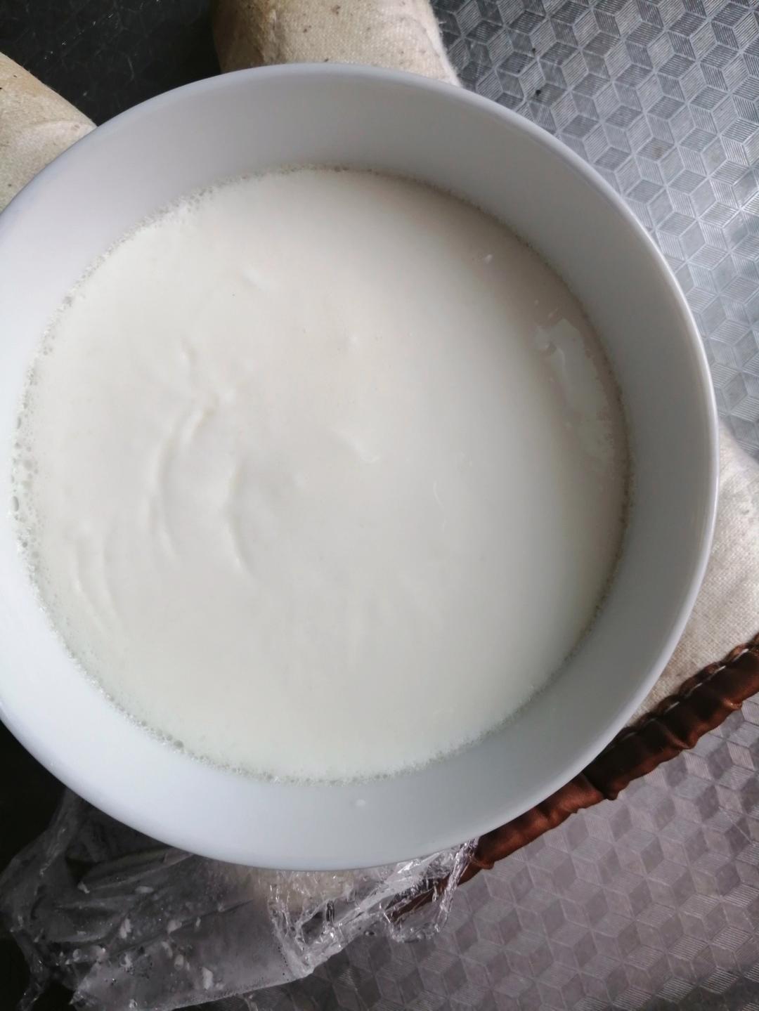 消耗蛋白！超简单！双皮奶