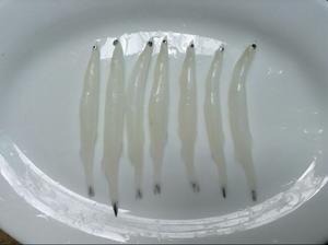 香酥银鱼的做法 步骤2