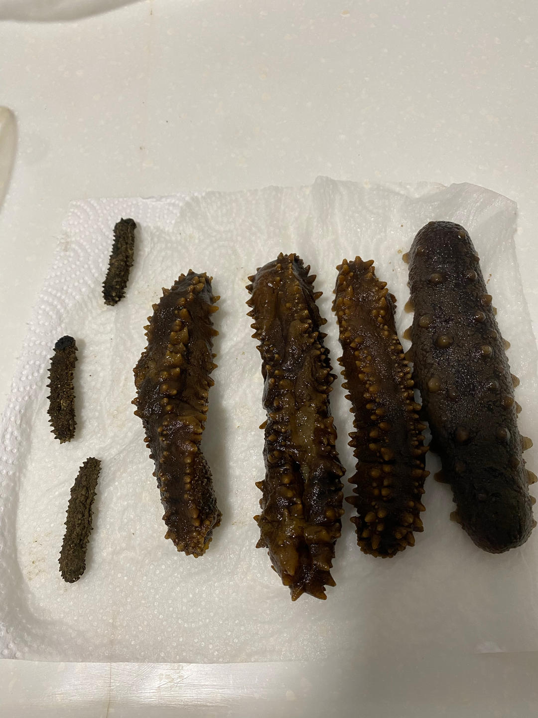 如何泡发淡干海参