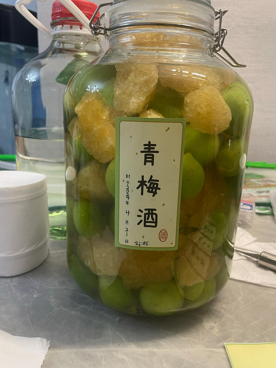 【青梅酒】梅子的沉醉时光（已填坑）