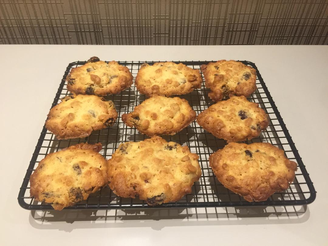 葡萄干麦片曲奇 Oats Cookies