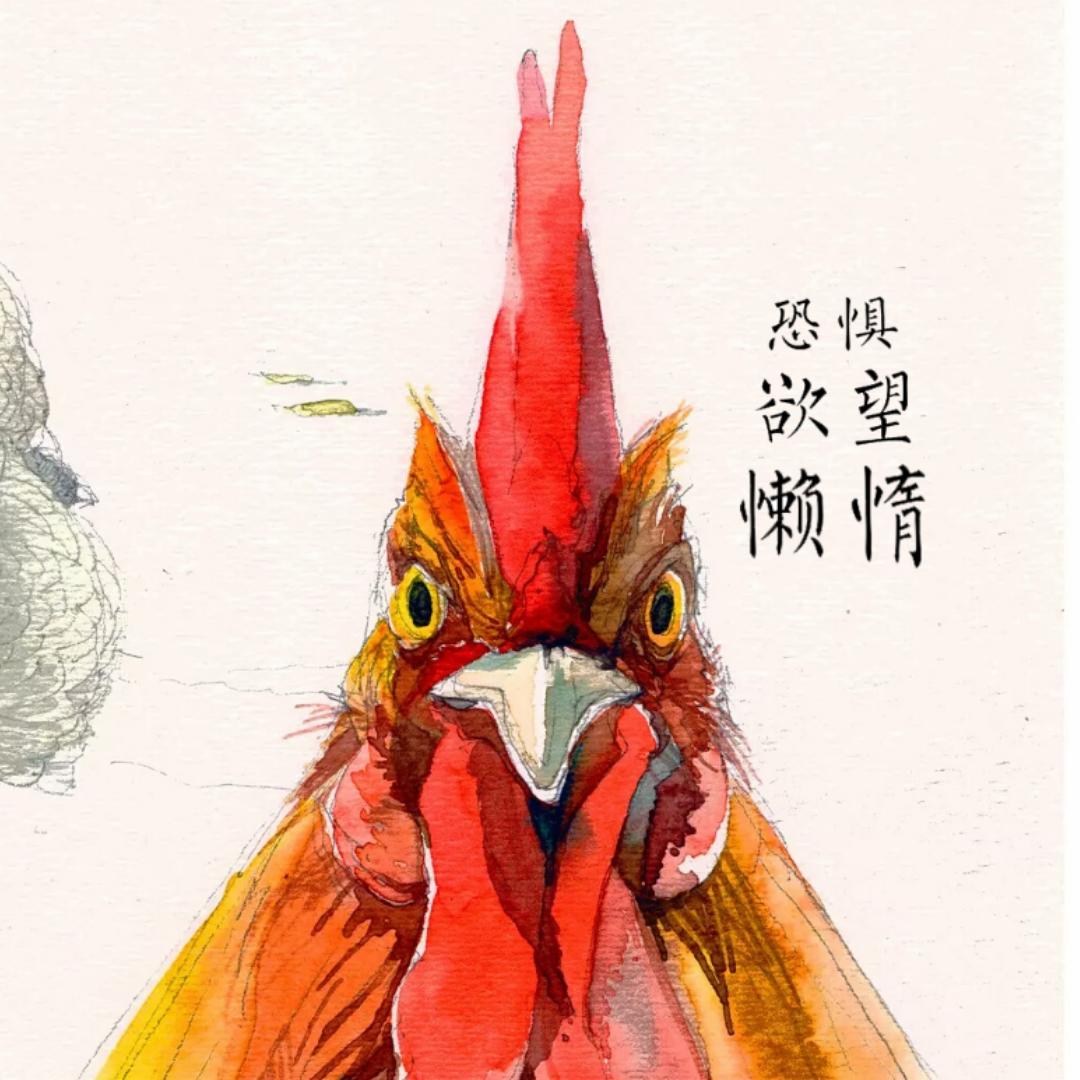 东五杨