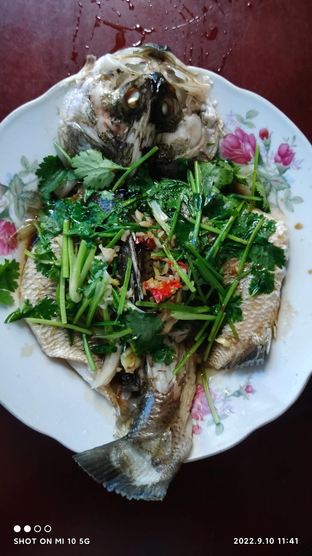 清蒸桂花鱼(鳜鱼)，适合各种清蒸鱼，超级鲜美