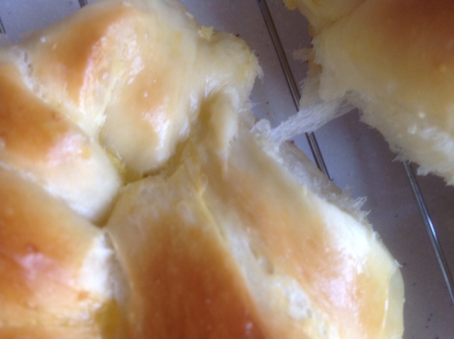 椰蓉卷——冷藏发酵法