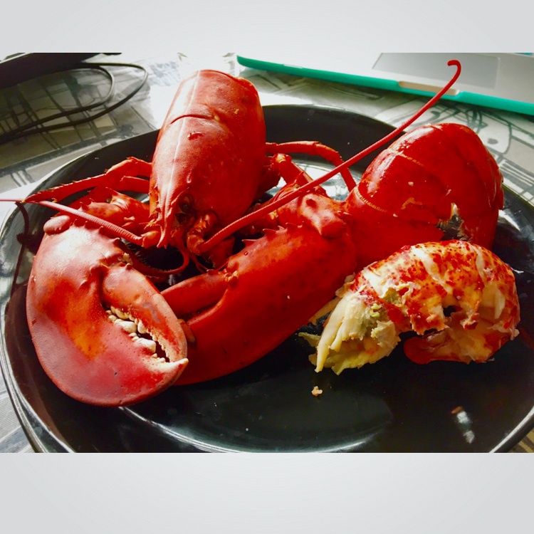 清水龙虾