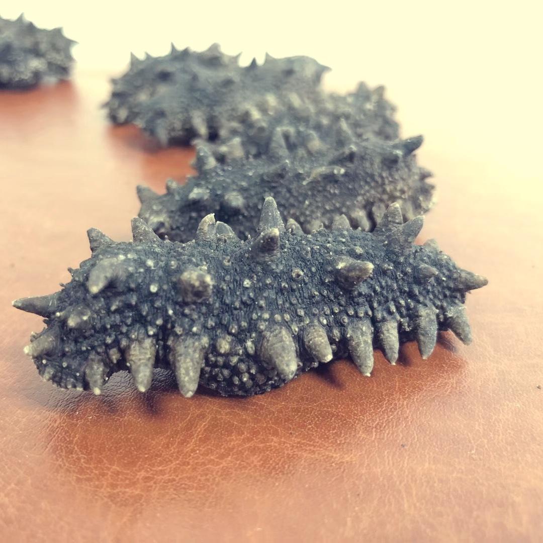 海参哥-阿杰的厨房