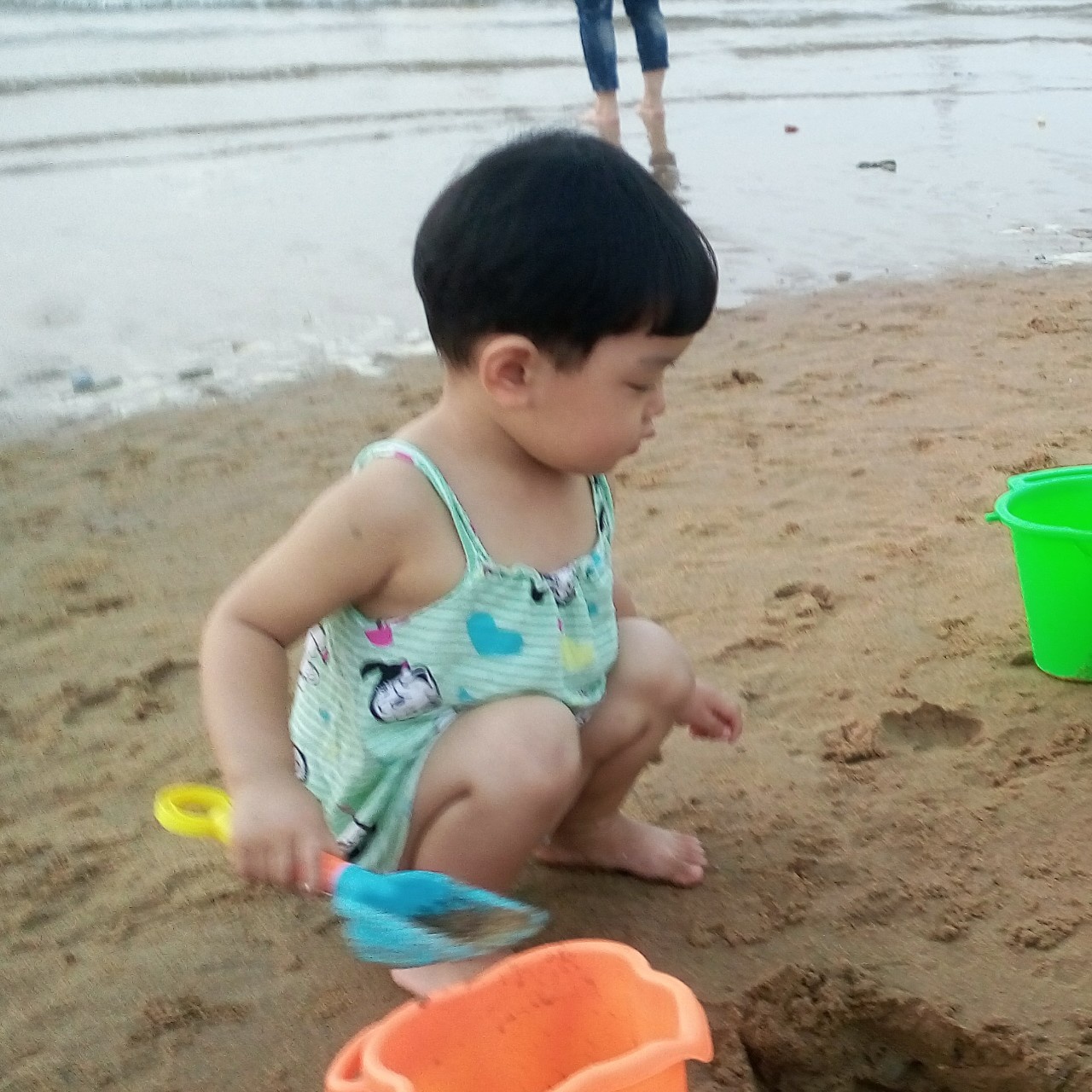 海贝_9832