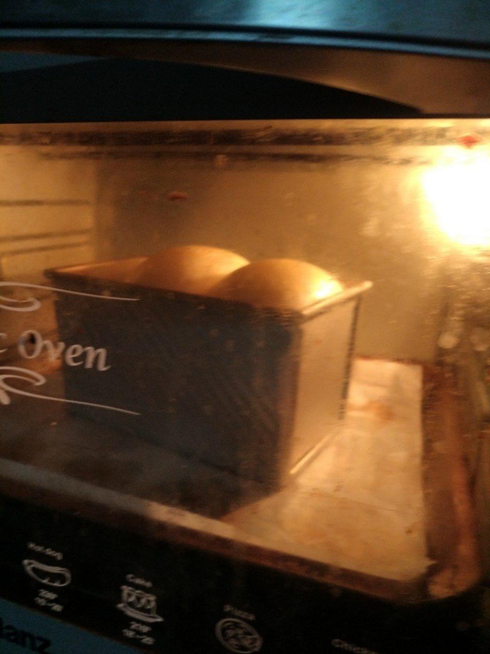 万用面包胚（冷藏中种法）