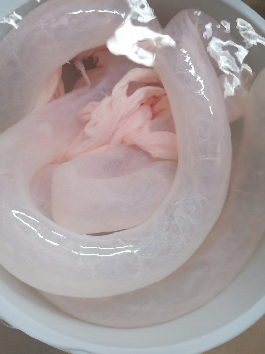 Q弹多汁的自制台式脆皮肠——绝对秒杀市售