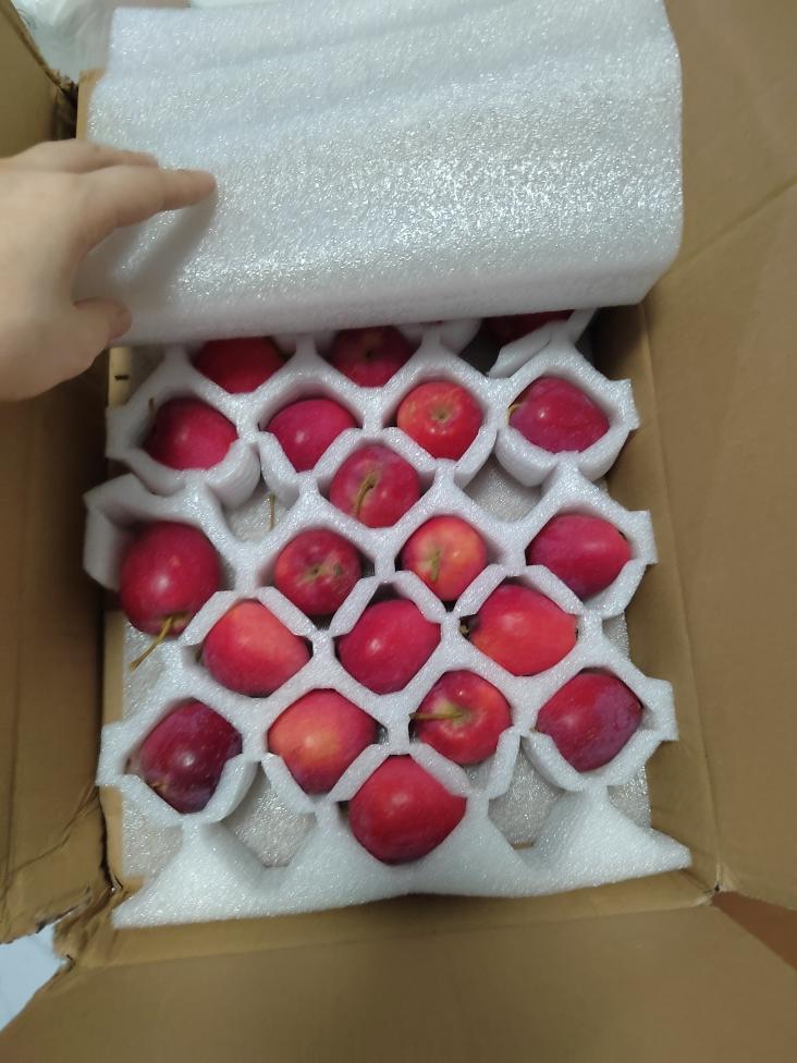 自用便当：原味番茄肉饭的做法