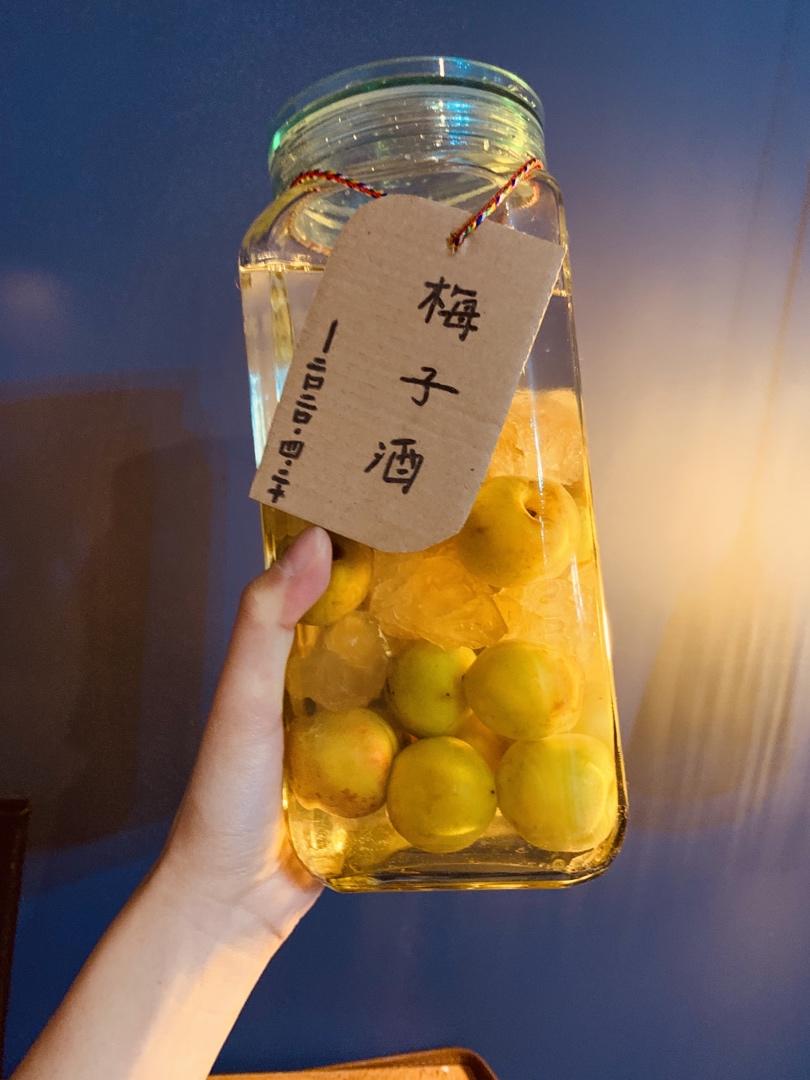自酿超好喝的青梅酒/梅子酒