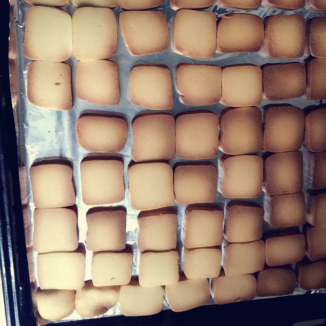 【炼乳脆饼•硬】非常简单的硬饼干