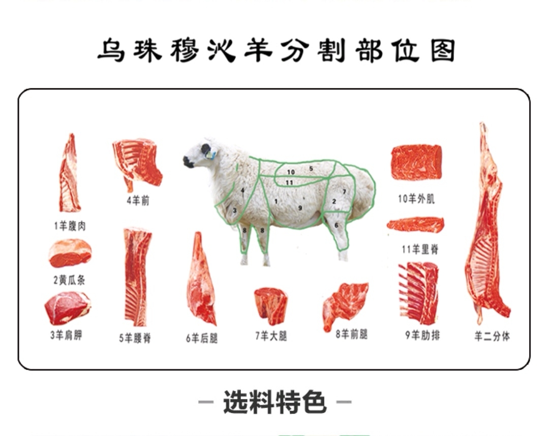 牛肉的部位图解与做法(来自度娘)的做法 步骤18