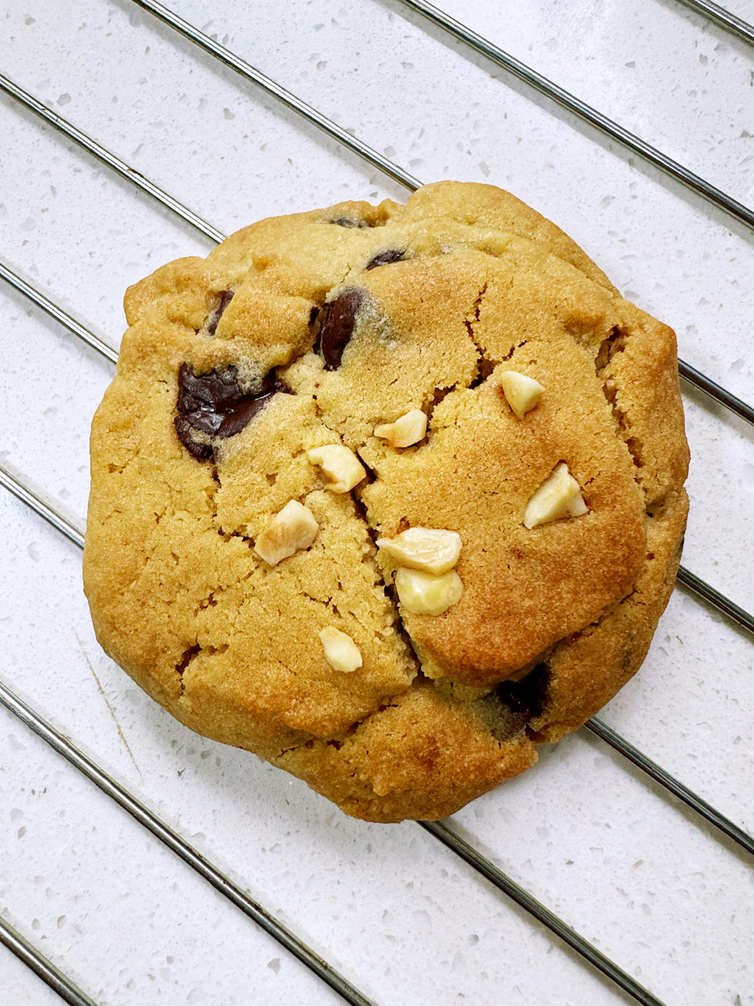 香草海盐巧克力大曲奇