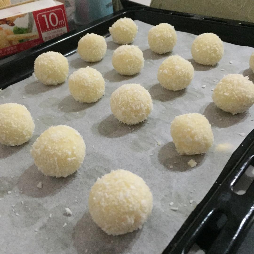 蛋白椰丝球