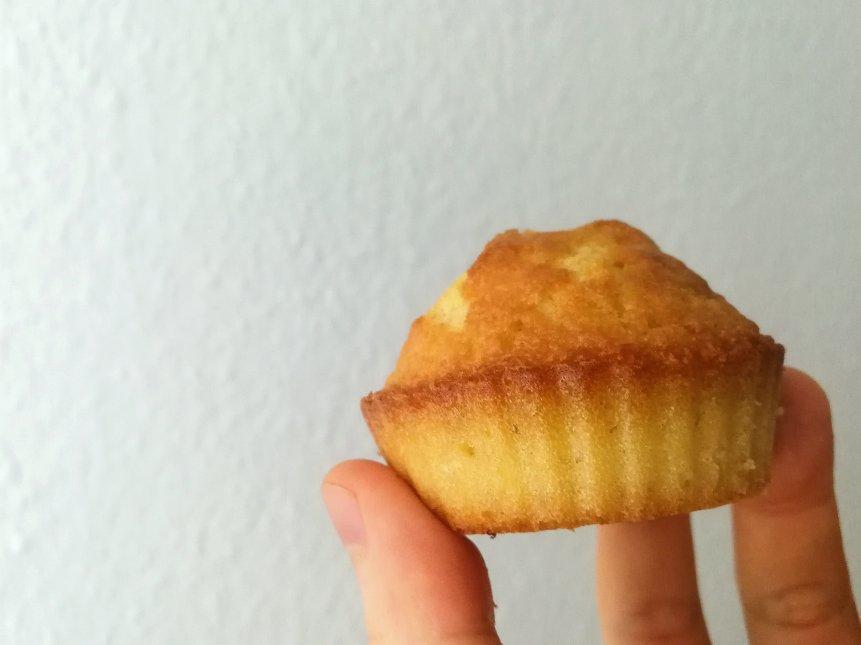 玛德琳（蓝带方）