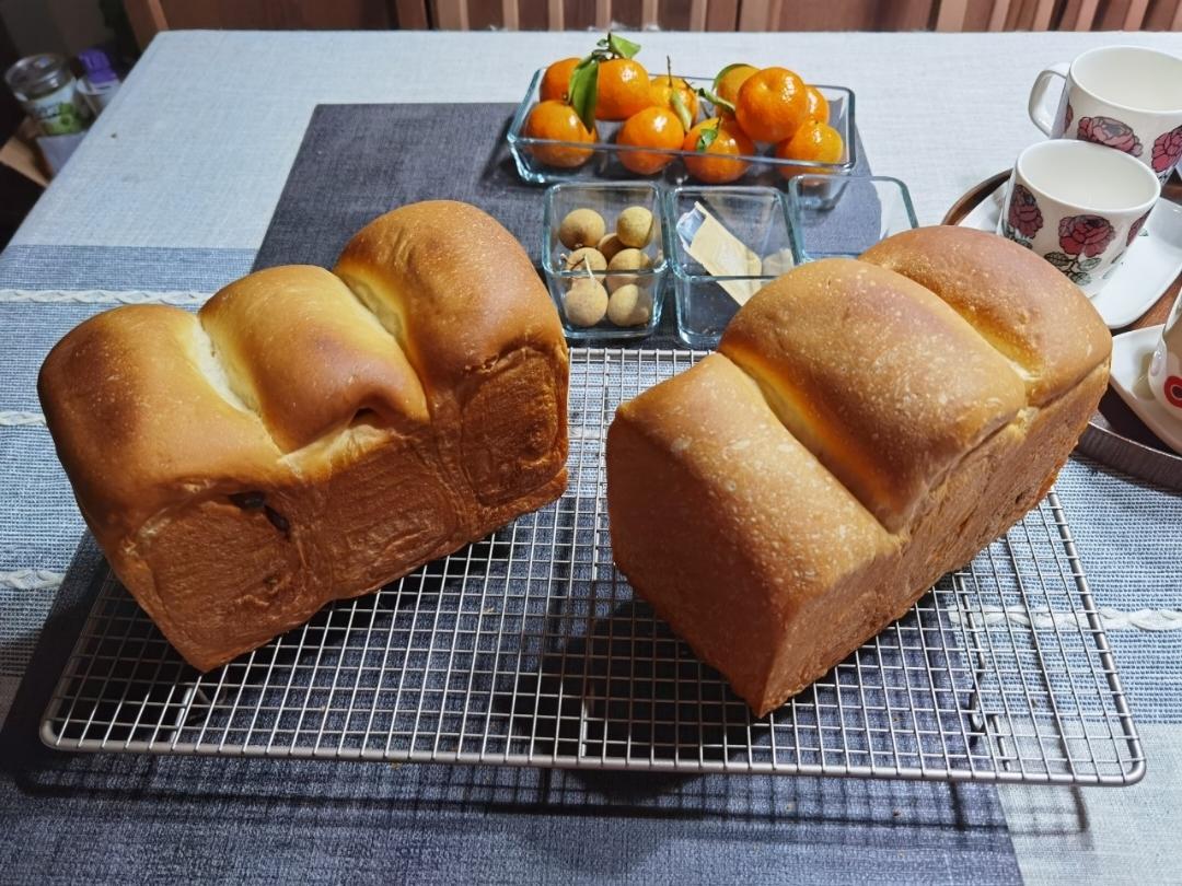 波兰种牛奶吐司