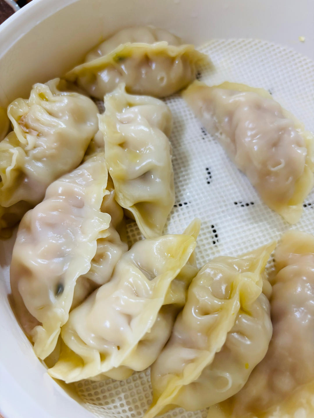 蒸饺子🥟