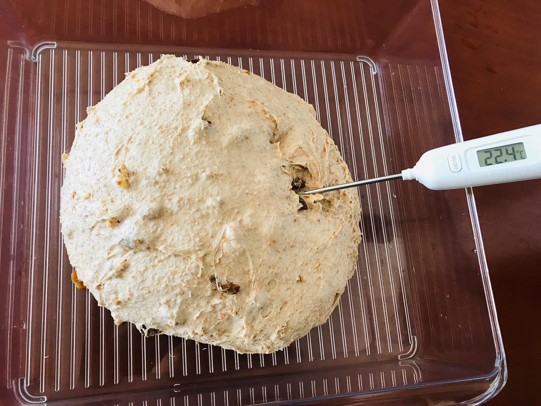 低油低糖，50%全麦核桃提子软欧~