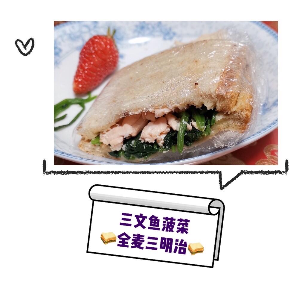 全麦三文鱼菠菜三明治 附超详细的包三明治大法｜#Healthybreakfast#