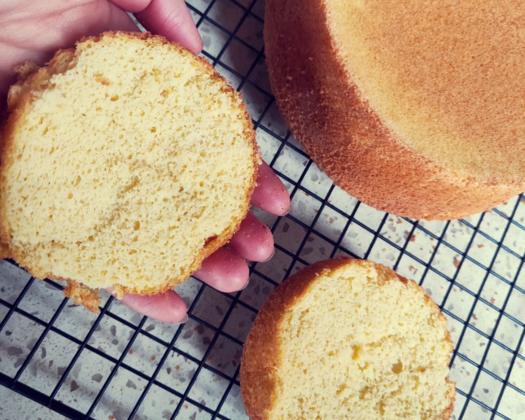 厨小白日记——纯椰子粉蛋糕的做法 步骤11