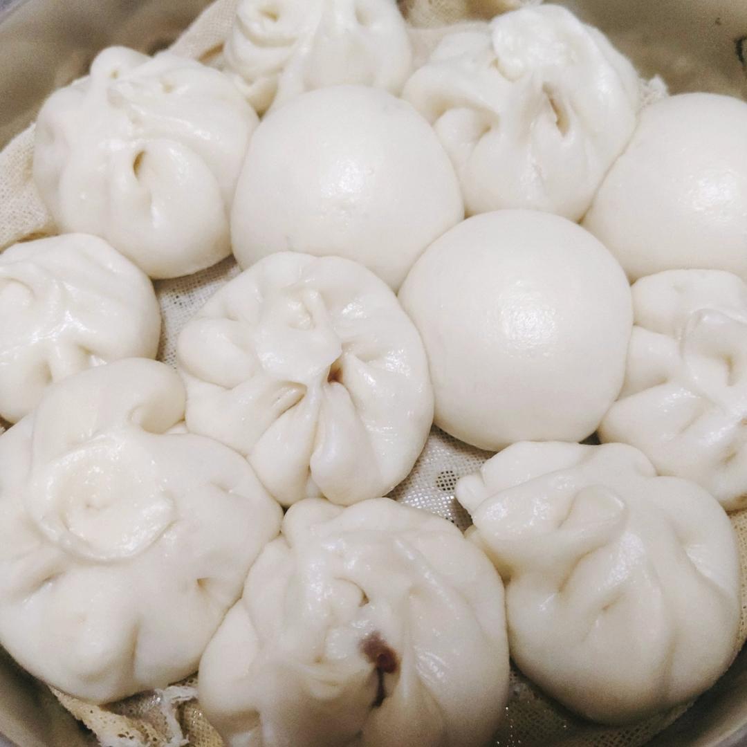 超好吃有豆豆的豆沙包，一次发酵（红豆包）