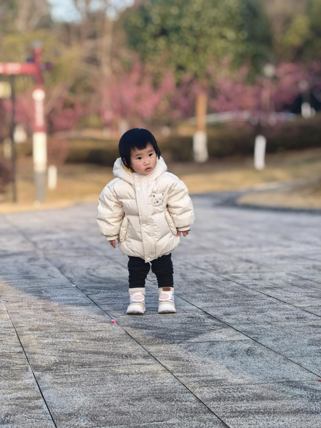 睡觉要数羊同学