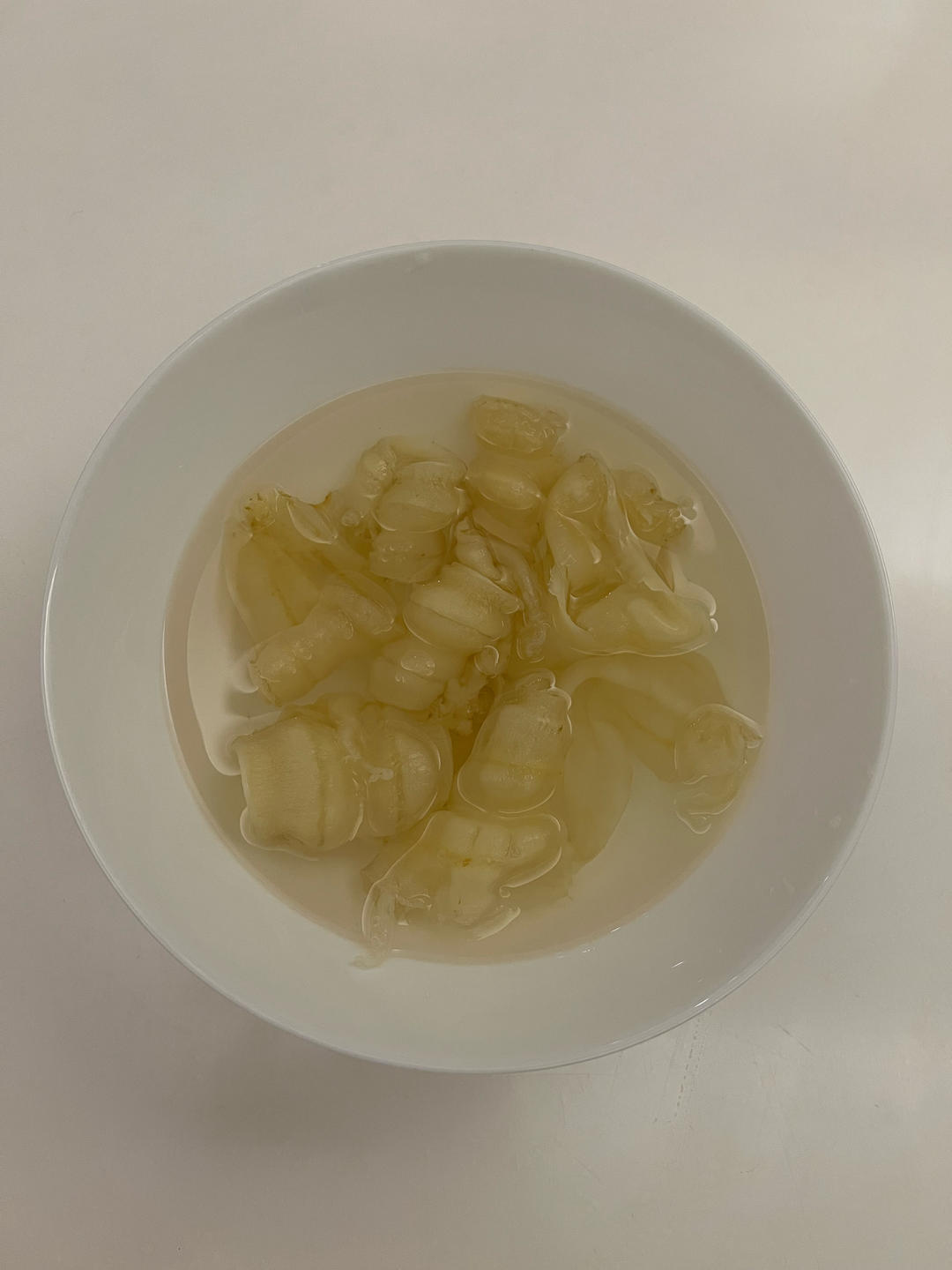 花胶泡发（新手学得会）