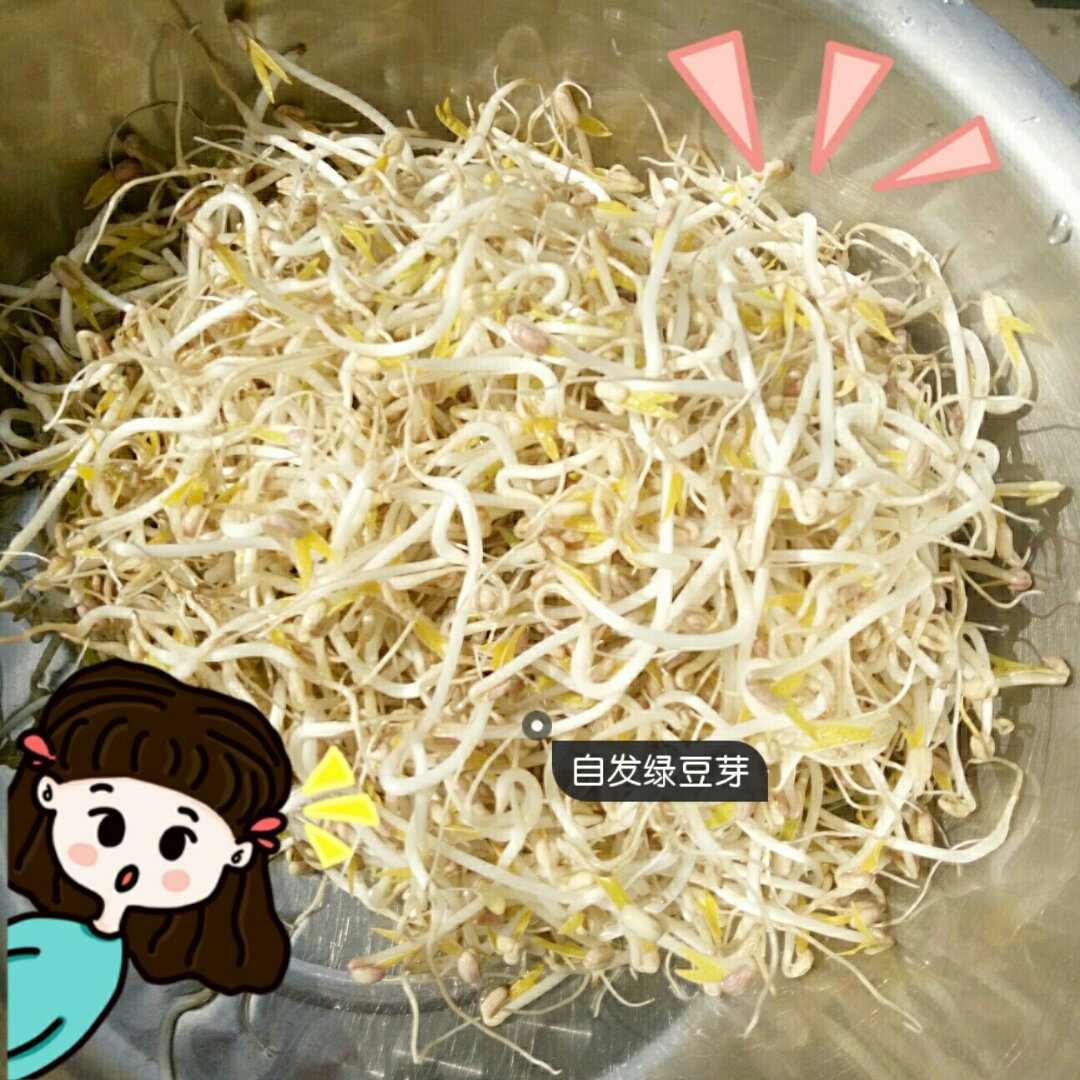 自发豆芽（可乐瓶发豆芽0失败！）